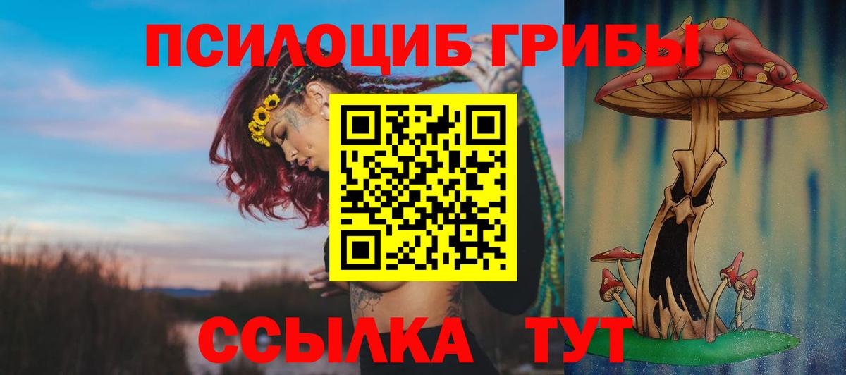 Ленинск-Кузнецкий  Псилоцибиновые грибы мицелий  Вход с VPN  Псилоцибиновые грибы прущие грибы 
